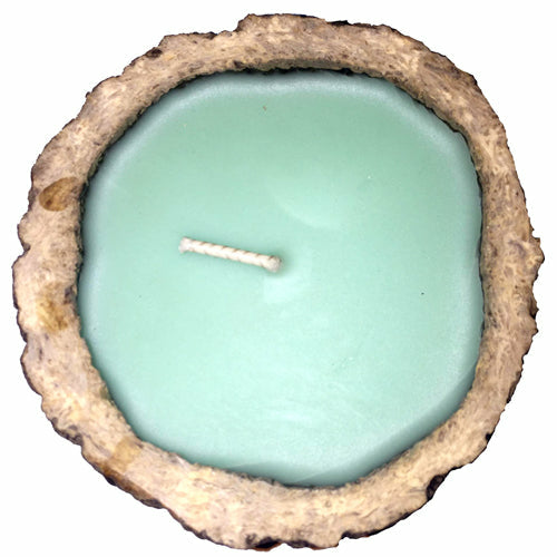 Exotic Scented Brazil Nut Candles